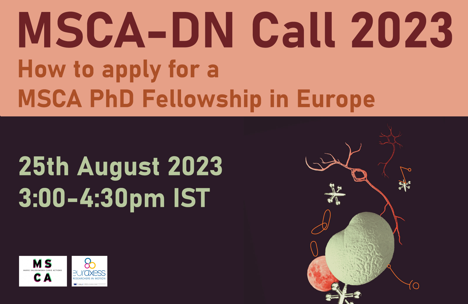 phd fellowship europe